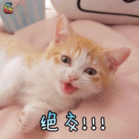 猫咪认为铲屎官的这6大行为如同被抛弃